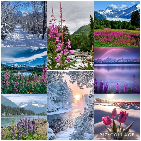 Join My Show From Alaska! I Have Great Deals! Tag Your Friends! - Picture 2 of 15